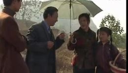 柳琴戏《苦娃》第1集在线观看,经典戏曲剧情全呈现 柳琴戏《苦娃》第1集在线观看,经典戏曲剧情全呈现