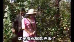 云南山歌剧《表哥戏表妹》全集下载,高清正版资源,沉浸式体验山歌魅力 云南山歌剧《表哥戏表妹》全集下载,高清正版资源,沉浸式体验山歌魅力