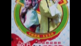 评剧《翠鸟衣》全剧下载，张金秋主演经典戏曲资源