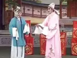 张郎休丁香
