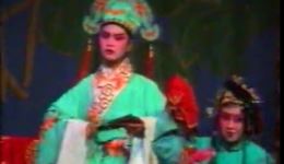 洪洞道情高清下载，山西传统道情戏曲资源，免费获取地方特色戏曲