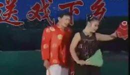 二人转白蛇传丁飞郭二华正版下载，经典二人转演绎，剧情精彩不容错过下载