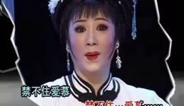 来世再把好梦圆