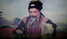 淮北花鼓戏《莲花庵》片段下载 - 经典戏曲资源在线获取
