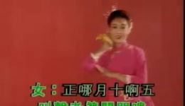 黄梅戏《夫妻观灯》韩再芬经典演绎，MP3/MP4高清戏曲资源下载下载