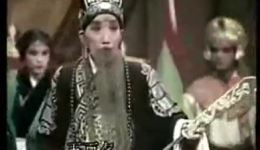 收姜维
