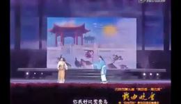 丹剧经典对唱《树上的鸟儿成双对》金红霞谢爱忠精彩演绎在线下载