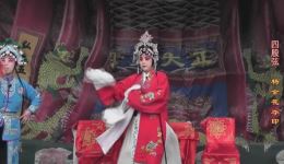 杨金花夺印