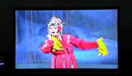 红珠女