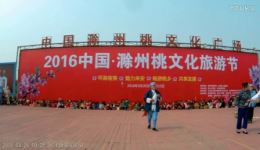 桃花节洪山戏《保家乡》完整资源下载,经典地方戏曲,领略民俗魅力 桃花节洪山戏《保家乡》完整资源下载,经典地方戏曲,领略民俗魅力