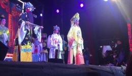 狸猫换太子