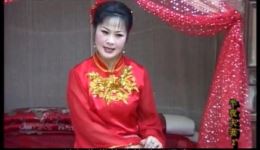 民间小调《半夜夫妻》02戏曲高清视频mp3下载，经典民间故事戏曲资源免费获取