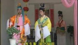 赵少卿(香港)
