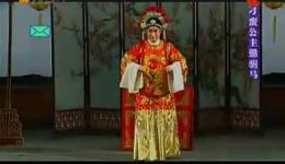刁蛮公主赣驸马