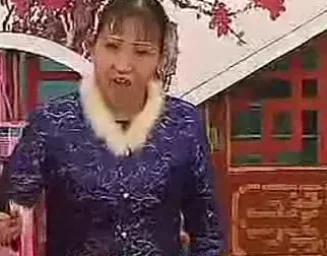胡中花河南坠子经典全集《旱蛤蟆求雨》《王老八卖瓜》《巧嘴犟老婆》在线下载