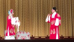 奇双会