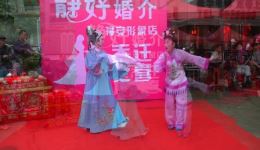 福安平讲戏《奇婚配》折子戏，老年大学精彩演绎，戏曲爱好者必看！