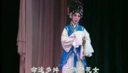 金花女结荆钗缘