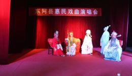 樊梨花挂帅