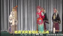 打金枝