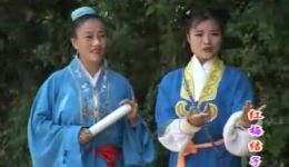 红梅结子