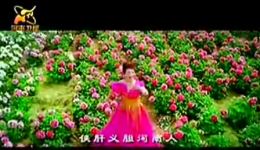 河南人