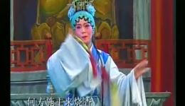 白罗衣
