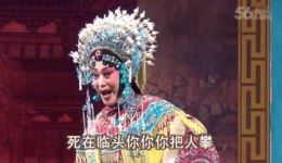 河北梆子《登殿》门桂英精彩演绎，经典戏曲选段在线下载，感受传统艺术魅力下载
