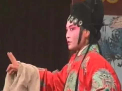 哈哈腔《女中魁》中集在线观看，经典地方戏曲资源下载