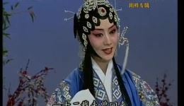 花打朝●桃花庵●穆桂英挂帅
