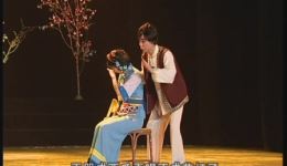 云南花灯《蝶双飞》全场资源下载,主演沐青演绎经典爱情,高清戏曲在线获取 云南花灯《蝶双飞》全场资源下载,主演沐青演绎经典爱情,高清戏曲在线获取