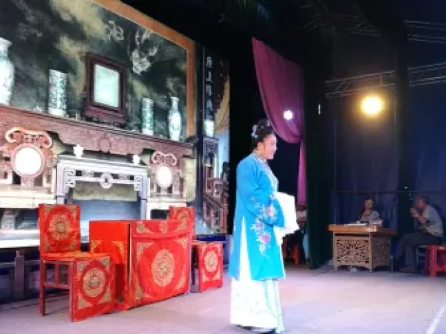 庐剧《大花轿》全剧下载｜盛小五武丹丹主演经典剧目，本土戏曲资源免费获取