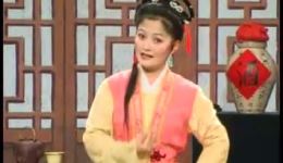 庐剧《童养媳的故事》5 ,主演:朱德顺、孙小云、魏小五 庐剧《童养媳的故事》5 ,主演:朱德顺、孙小云、魏小五