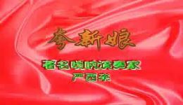 严西来唢呐演绎豫剧经典，纯正河南戏曲韵味，免费资源速领