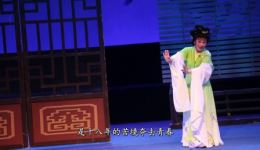 双玉蝉