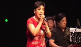 评剧《打金枝》夏霞精彩演绎片段下载，经典劝婿桥段不容错过下载