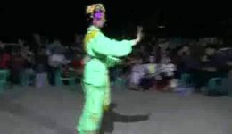 竹马戏《五娘赏花》片段在线观看，领略传统戏下载