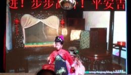 蔡郎别店