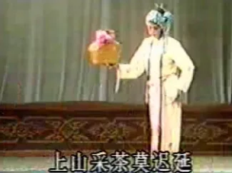 林爱姑告御状
