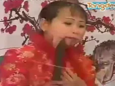河南坠子《三打四劝》全场高清下载 胡中花经典演唱 家庭伦理戏曲资源