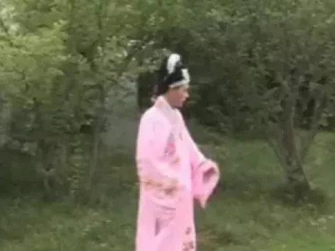 墙外小桃花