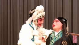 楚剧姑嫂奇冤在线观看下载，朱昌敏余维刚主演，武汉楚剧院经典演绎下载