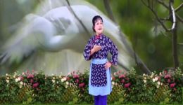芦荡火种