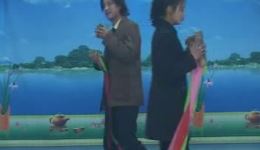 东路二人台《张北鼓匠班》单晶河梅子主演 - 非遗民间故事戏曲下载