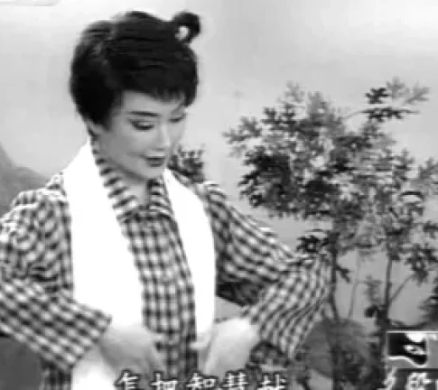唐剧《迎风飞燕》选段在线观看黄宁、李洪祥经典演绎，知识青年奋斗故事高清资源下载