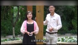 心肝调