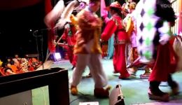 正字戏《司马海回朝》全集高清下载｜经典传统戏曲资源一站式获取