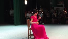 孙凯板胡演绎河南梆子腔,纯正韵味戏曲视听盛宴下载 孙凯板胡演绎河南梆子腔,纯正韵味戏曲视听盛宴下载