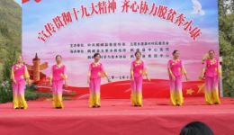 柳子戏《怪哉》鹤峰主演，离奇剧情在线观看与下载，感受传统戏曲魅力下载