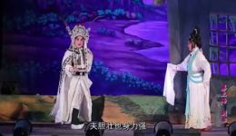 雷州雷剧《相府三千金》高清全集下载，经典雷剧佳作不容错过